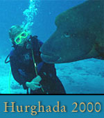 Reisebericht Hurghada / Ägypten 2000