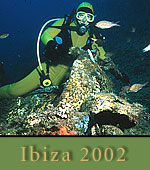 Reisebericht St. Antonio /  Ibiza 2002