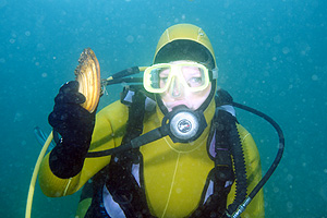 Deutschland 2005 - Sankt Leoner See - Teichmuschel - Anodonta cygnea