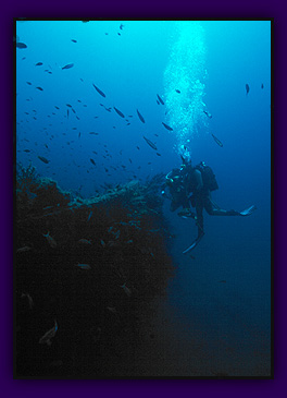 Seitenansicht der gesunkenen Dalton in über 45m Tiefe im Golf von Marseille