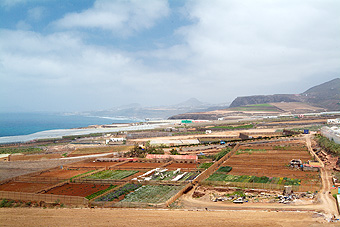 Gran Canaria - Wurde der Küstenstreifen etwas breiter,  reihte sich Gewächshaus an Gewächshaus.