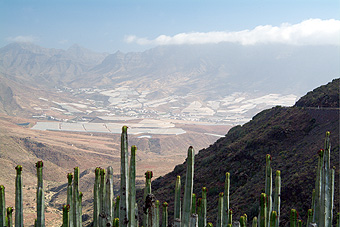 Gran Canaria - Ganze Landstriche sind mit Gewächshäuser bedeckt.