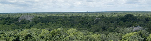 Yucatan - Chichen Itza - Rundblick über den Dschungel von der Großen Pyramide