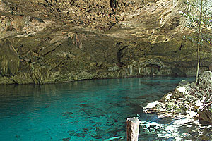 Yucatan - Tauchgang in der Cenote Dos Ojos - Eingangsbereich zur Unterwasserwelt