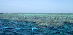 Ägypten 2006 - Safaga - Panorama Riff - Das große Riff vom südwestlichen Ankerplatz aus gesehen.