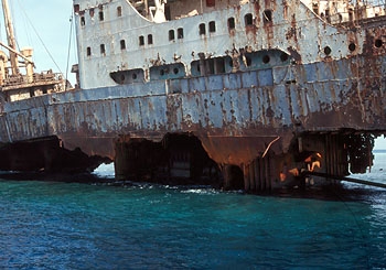 Ägypten 1999 - Straße von Tiran - Ein Frachter Wrack verostet auf dem Riff.